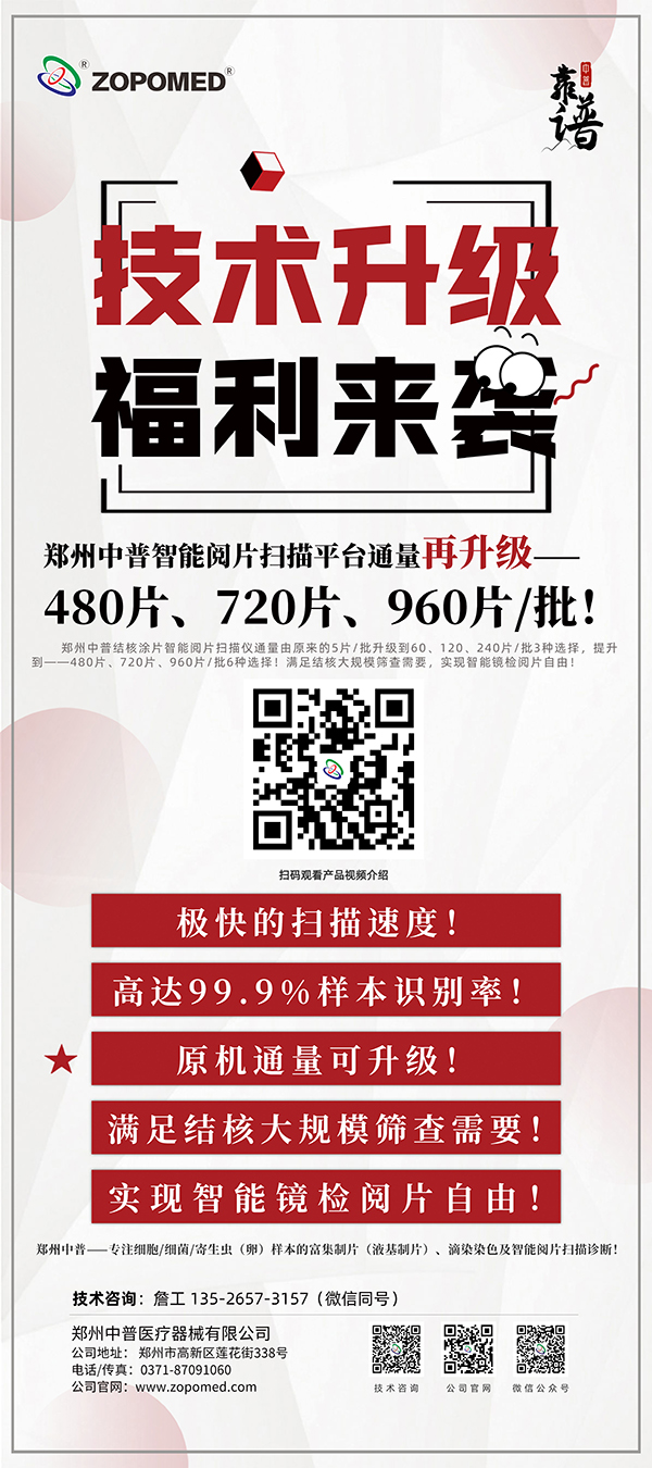 64c08c20e836b 64c08c20e836b