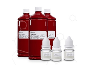 NOPAYǮ�� - ��ȫ��ݵ��ֻ�֧��Ǯ������