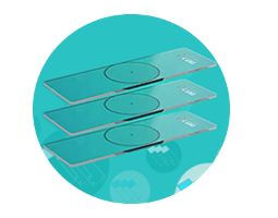 NOPAYǮ�� - ��ȫ��ݵ��ֻ�֧��Ǯ������