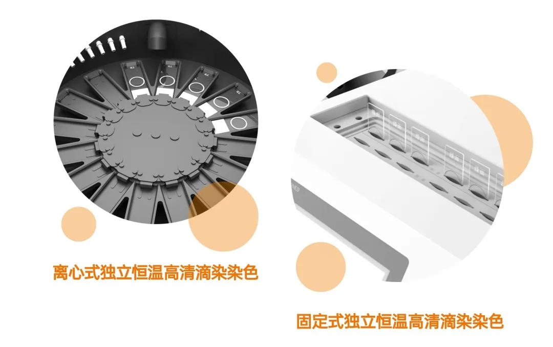 NOPAYǮ�� - ��ȫ��ݵ��ֻ�֧��Ǯ������